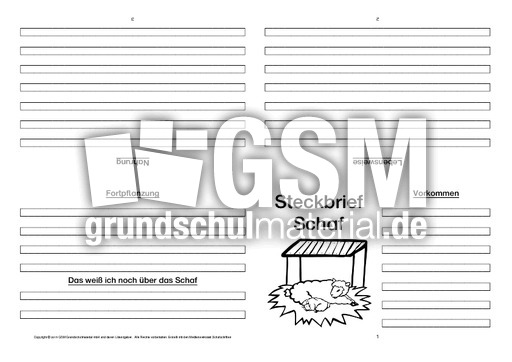 Schaf-Faltbuch-vierseitig-4.pdf